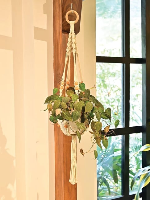 Ugaoo White Small Cotton Macrame Single Layer Hanger