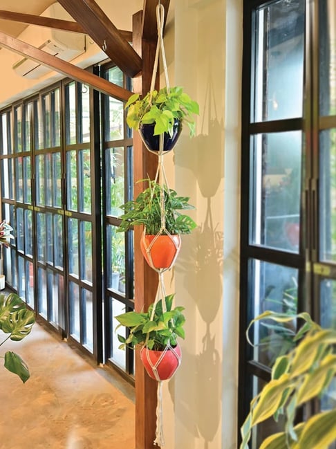 Ugaoo White Small Cotton Macrame Three Layer Hanger