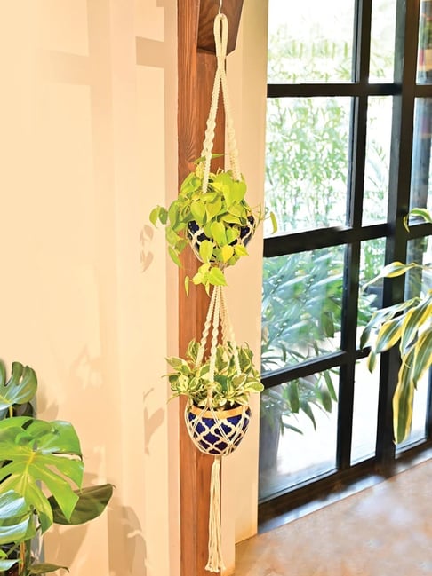 Ugaoo White Small Cotton Macrame Two Layer Hanger
