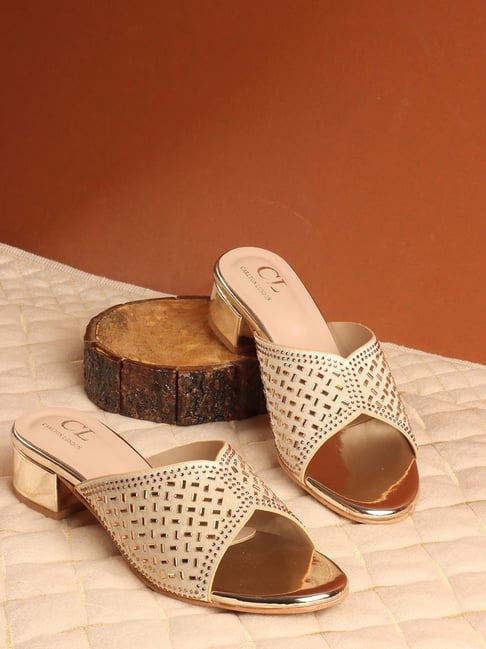 Carlton London Women's Gold Casual Sandals-picture-21