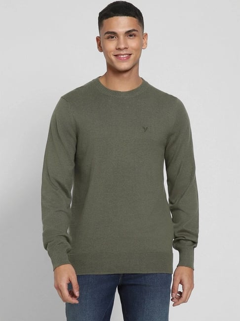 Crew Neck American Eagle Outfitters Men's Sweaters Green