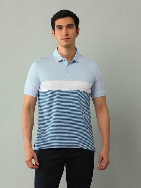 Arrow Blue Regular Fit Striped Polo T-Shirt-picture-35