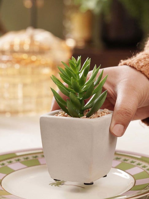 Pure Home and Living Green Plastic Potted Artificial Cactus - Medium-picture-22