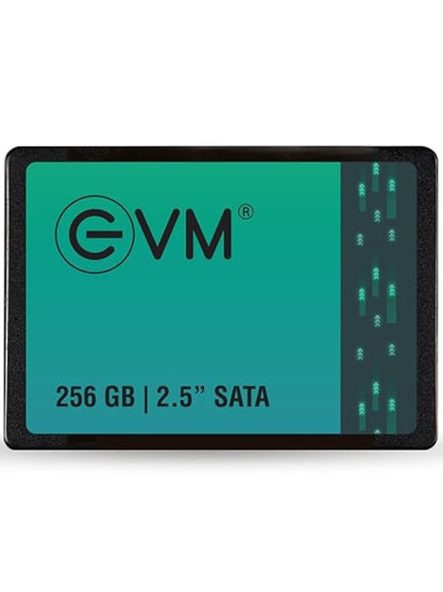 Buy EVM EVM25/256GB 256 GB inch SATA Internal SSD Online At