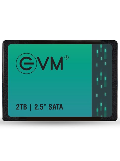 EVM EVM25 2TB 2.5 inch SATA Internal SSD (Black)