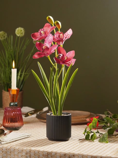Pure Home and Living Pink Artificial Cymbidium in Ceramic Pot-picture-51