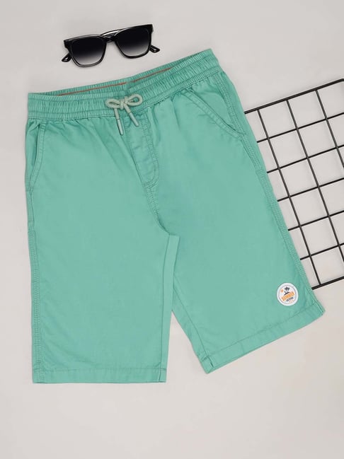 Pantaloons Junior Boys Teal Blue Shorts-picture-38