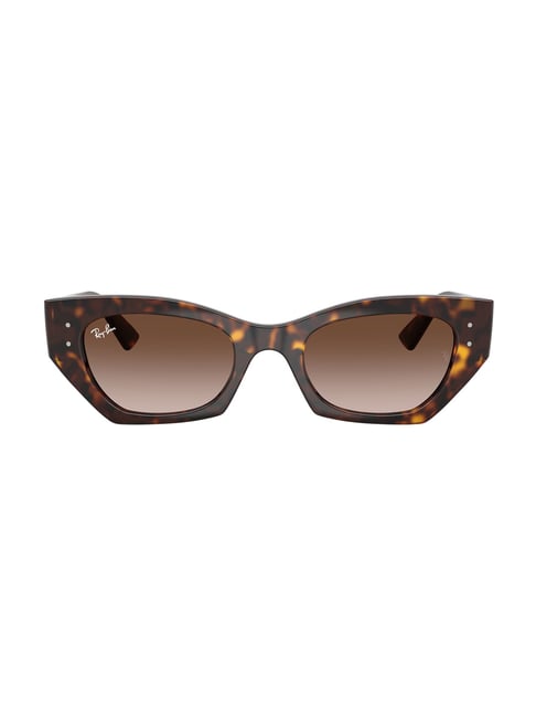 Ray-Ban Pulse Unisex Gradient Brown Lens Irregular Sunglasses - 0RB443013591352-picture-34