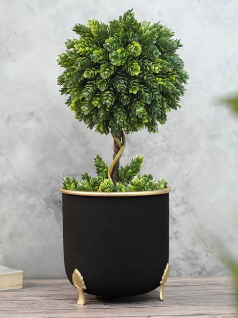 BEHOMA Home Collection Black Metal Planter for Indoor Decor