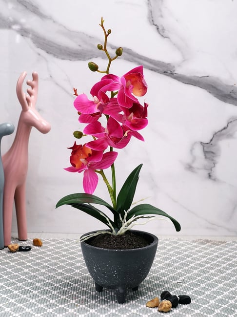 Tayhaa Green & Pink Plastic Orchid Artificial Plant with Pot