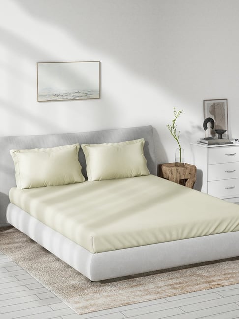 DDECOR Live beautiful Beige Cotton 180 TC King Fitted Bedsheet with 2 Pillow Covers-picture-17