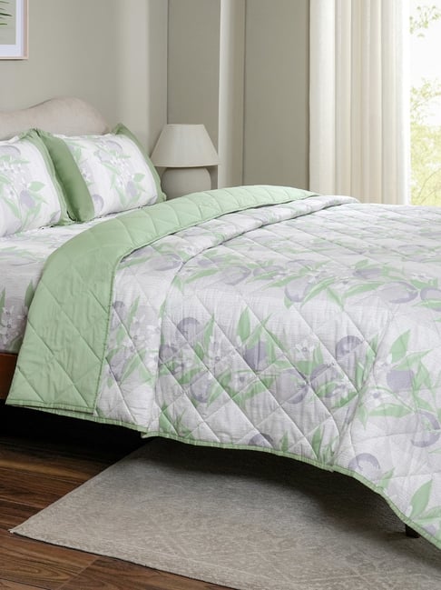Maspar Purple Cotton Printed Single Quilt-image-4