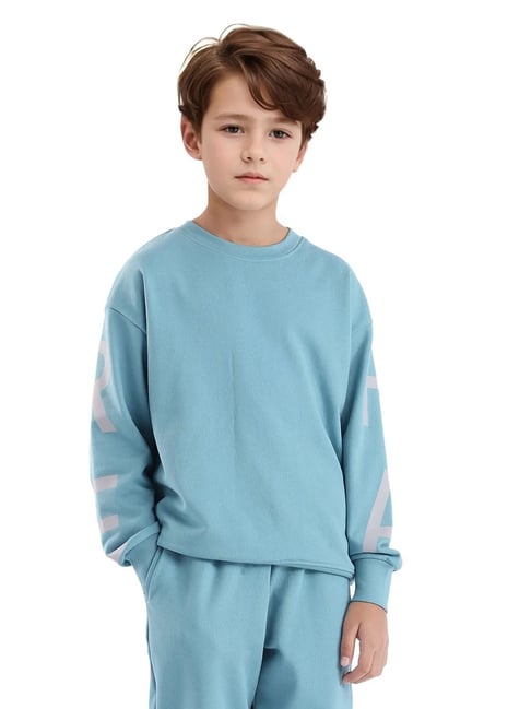 Rare Ones Boys Blue Cotton Blend Printed Sweatshirt-picture-30