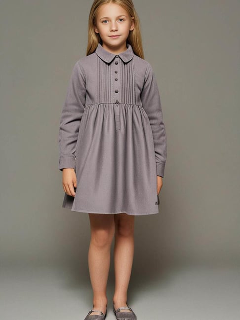 Cherry Crumble by Nitt Hyman Kids Grey Regular Fit Dress