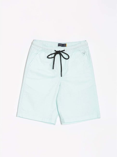 Allen Solly Kids Blue Regular Fit Shorts-picture-25