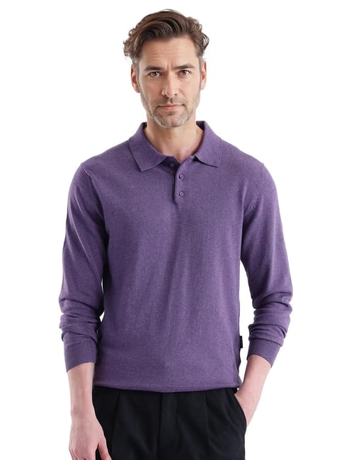 Rare Rabbit Purple Regular Fit Solid Polo T-Shirt
