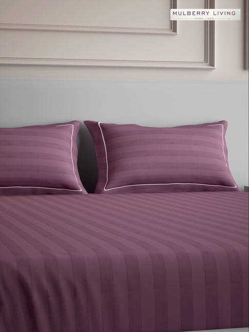 Mulberry Living Cotton Stripes Others 300 TC Queen Size Bedsheet with 2 Pillow Covers-picture-19