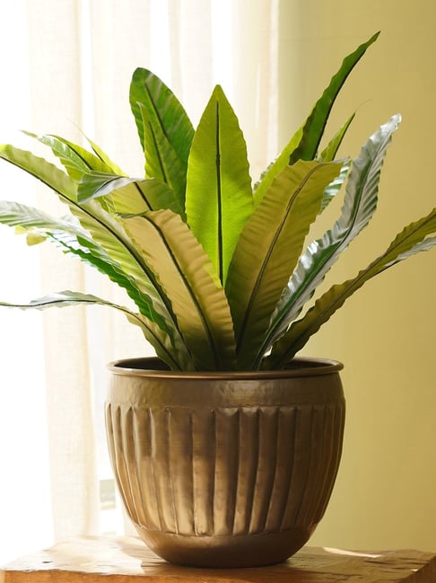 Pure Home and Living Bronze Aluminium Planter (Medium)-picture-18