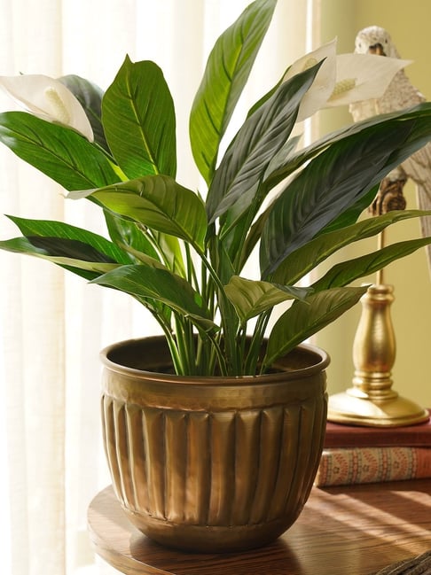 Pure Home and Living Bronze Aluminium Planter (Small)-picture-16