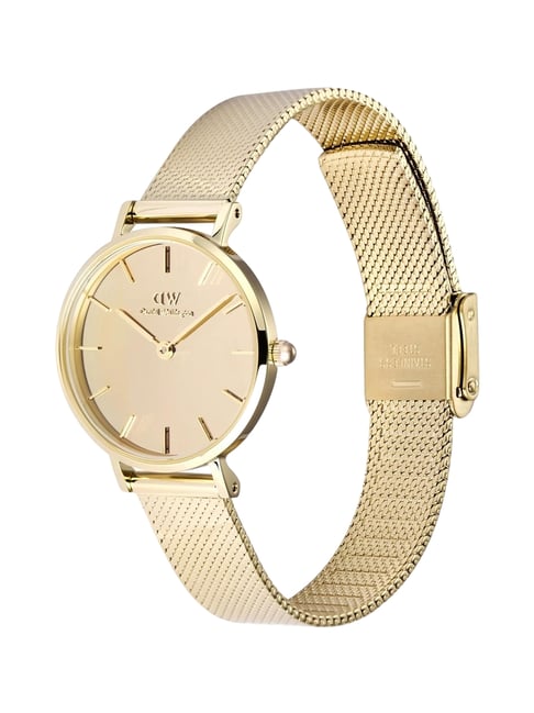 Stainless Steel Petite Evergold Daniel Wellington Watch Daniel