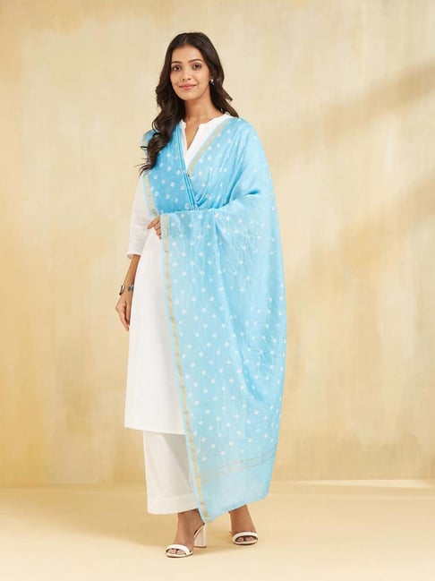 Fabindia Blue Regular Fit Printed Dupatta-picture-27