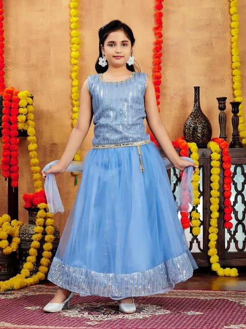 Aarika Girls Blue Embroidered Lehenga Choli Set-picture-24