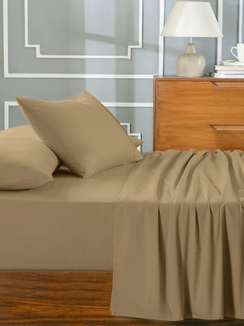 Maspar Brown Cotton Solid King Size Bedsheet with 2 Pillow Case