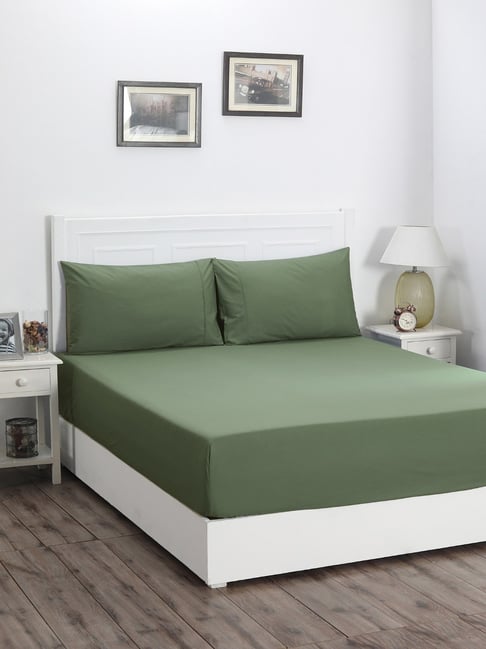 Maspar Green Cotton Solid Single Bed Fitted Bedsheet with 1 Pillow Case