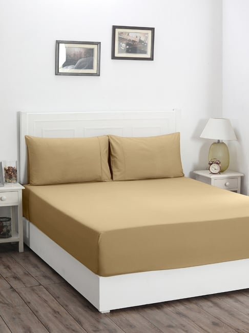 Maspar Brown Cotton Solid Double Bed Fitted Bedsheet with 2 Pillow Case
