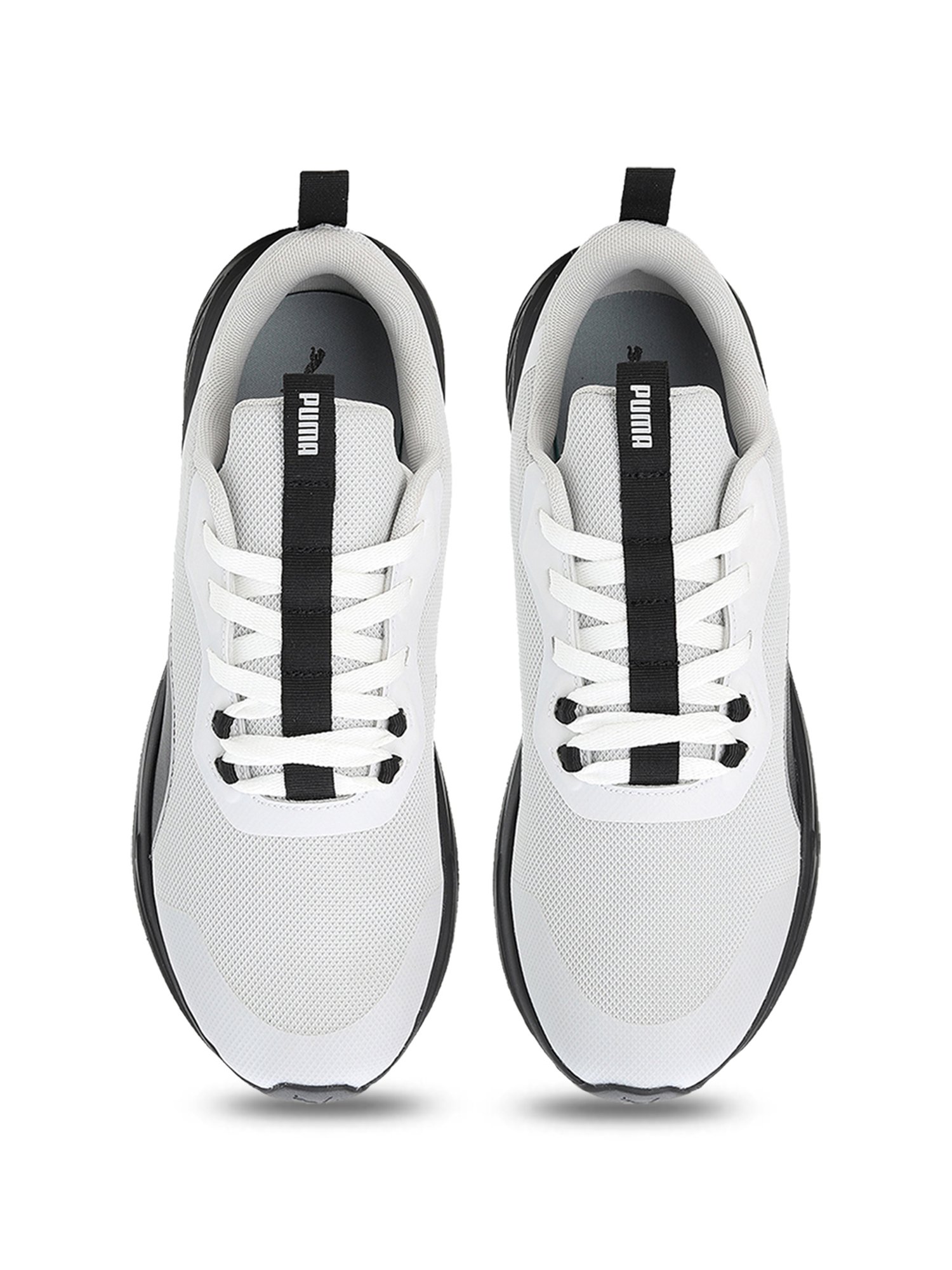 puma shoes highest price