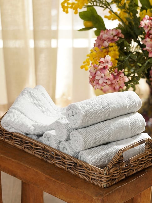Pure Home and Living Light Blue Cotton Sheared Face Towels - Set of 8-picture-40