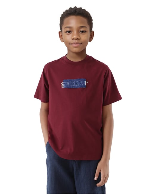 Rare Ones Boys Red Cotton Embroidered T-Shirt-picture-43