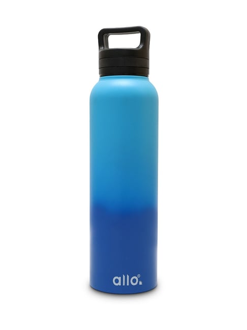 ALLO Light Dark Blue Stainless Steel Leakproof Handle Cap Water Bottle  (950 ml)