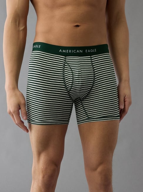 American Eagle Green Regular Fit Striped Briefs-picture-26