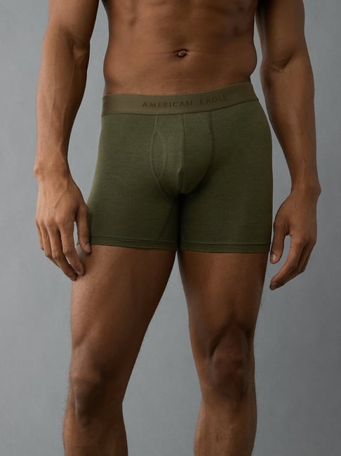 American Eagle Green Regular Fit Briefs-picture-29