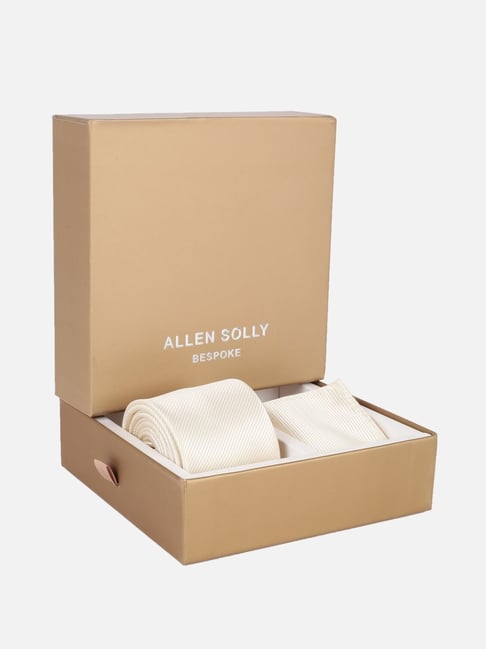 Allen Solly Beige Textured Tie and Pocket Square
