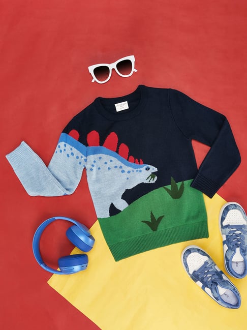 Pantaloons Junior Navy Blue Printed Regular Fit Sweater-picture-35