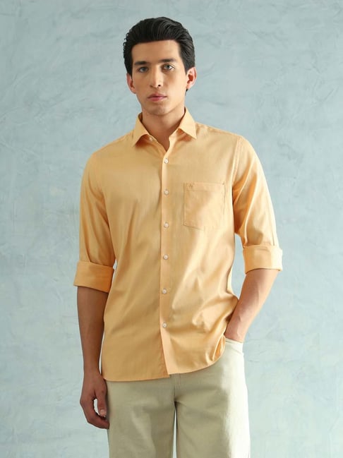 Arrow Men Slim Fit Striped Smart Formal Shirt-picture-21