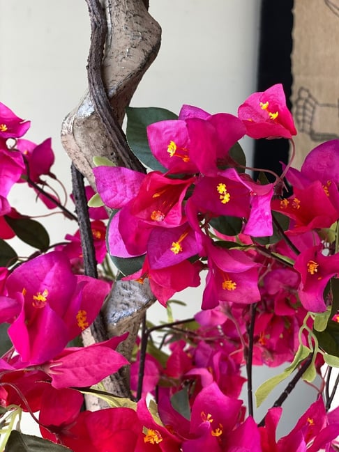 Buy Mason Home Pink Pvc Tall Plants for Home Online @ Tata CLiQ Luxury