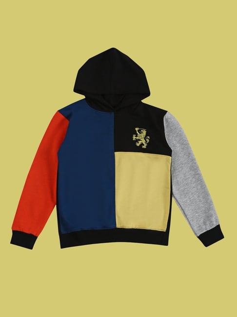 Desi Soota Boys Blue Cotton Printed Hoodie-picture-23