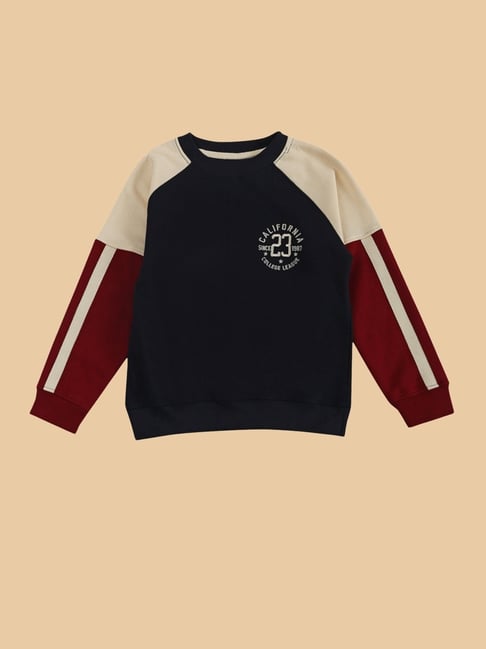 Desi Soota Boys Navy Cotton Printed Sweatshirt-picture-24