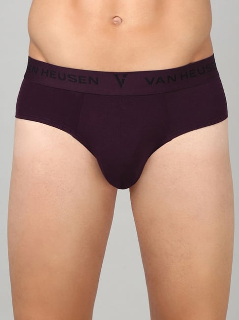 Van Heusen Purple Regular Fit Briefs