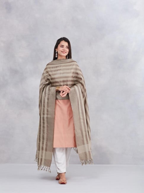 Fabindia Grey Silk Blend Dupatta-picture-18