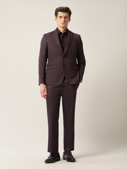 Arrow Purple Regular Fit Self Pattern Two Piece Suit