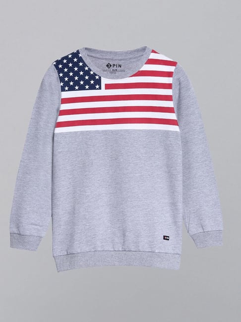 3PIN Boys Grey Cotton Regular Fit Printed Sweatshirt-picture-13