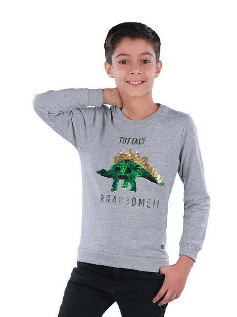 3PIN Boys Grey Cotton Regular Fit Printed Sweatshirt-picture-15