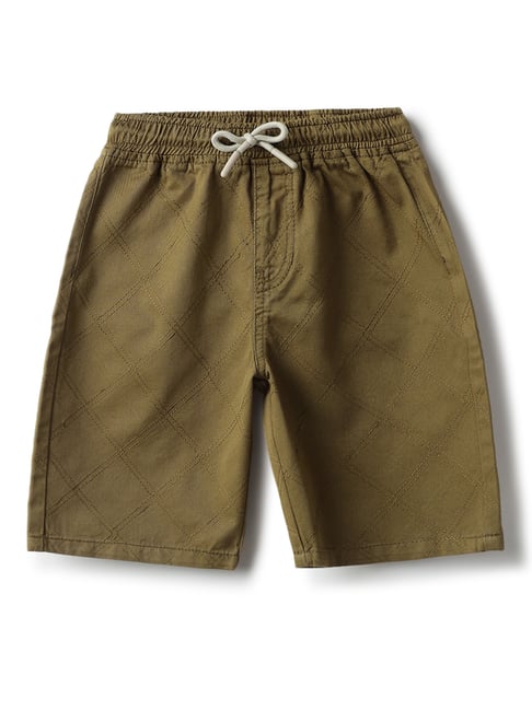 Tales & Stories Boys Olive Cotton Regular Fit Shorts-picture-42