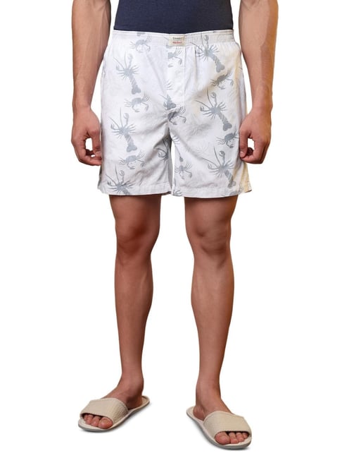 Sleepz by Raymond White Pure Cotton Printed Regular Fit Boxers-picture-26