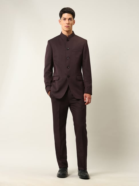 Arrow Purple Regular Fit Self Pattern Two Piece Suit