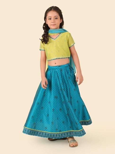 Fabindia Girls Teal Cotton Silk Hand Block Printed Choli, Lehenga & Dupatta Set-picture-41
